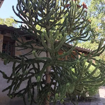 Casa Boix Semesterbostad La Vall de Bianya
