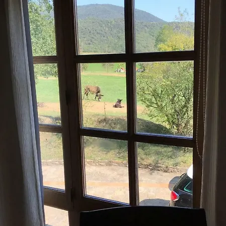 Casa Boix Semesterbostad La Vall de Bianya
