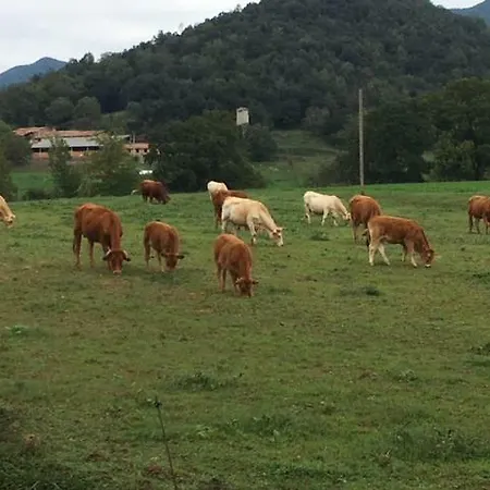Casa Boix Semesterbostad La Vall de Bianya